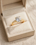 ANILLO LUMIÈRE